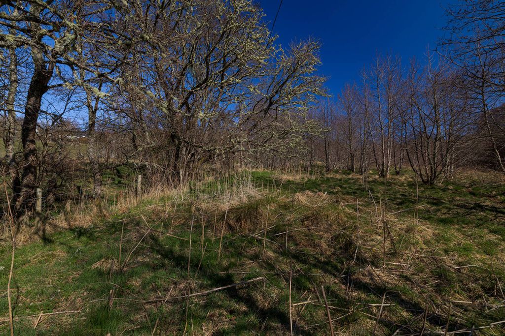 Additional image 10 of Land for sale95M West Of Eastwood, Balnain, Drumnadrochit IV63