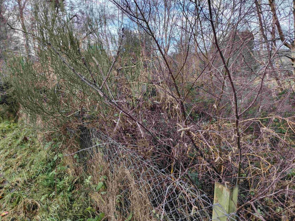 Additional image 9 of Land for saleRiverbank Road, Conon Bridge IV7