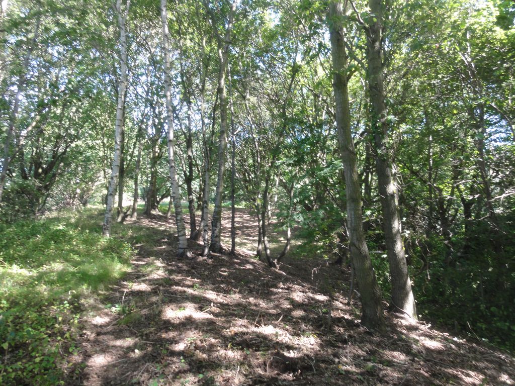 Additional image 12 of Land for saleWoodlands, Leeds LS16