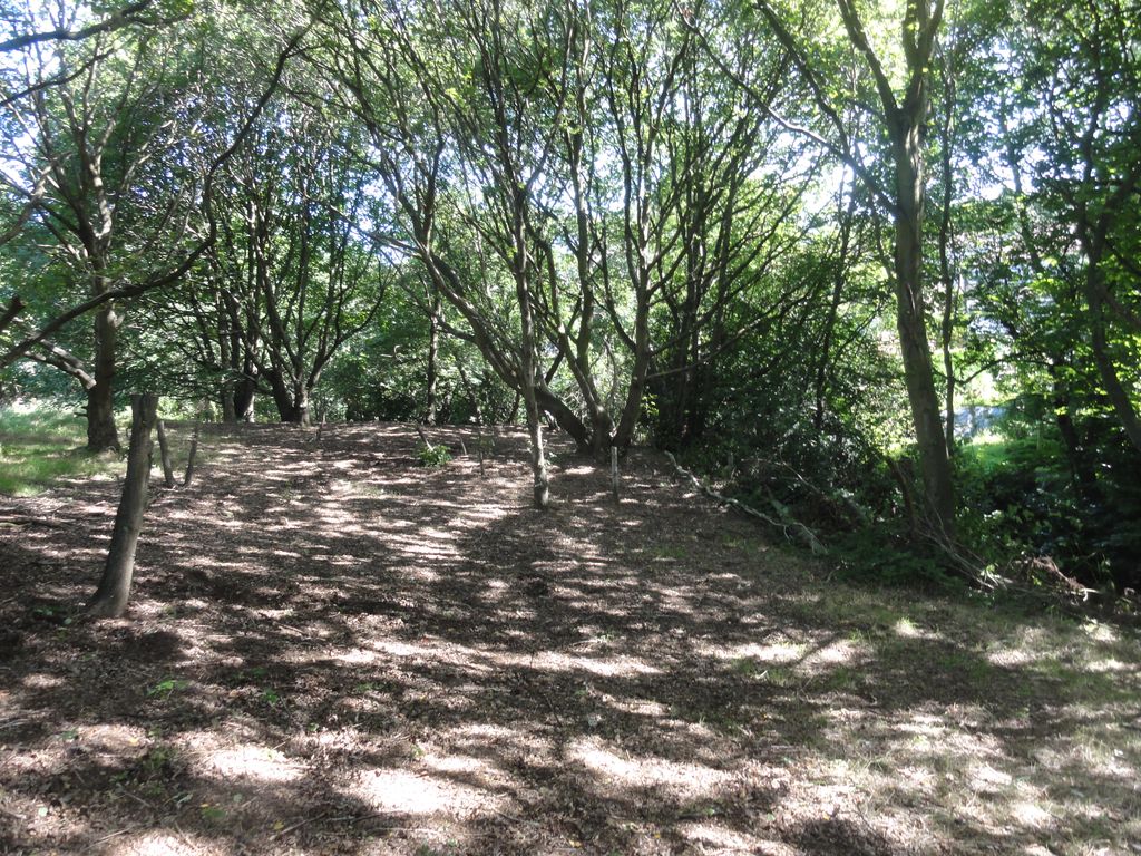 Additional image 9 of Land for saleWoodlands, Leeds LS16