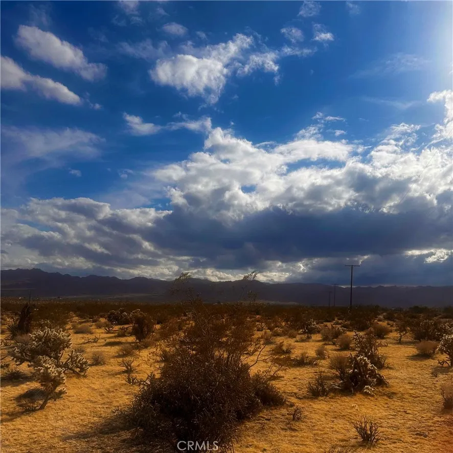 Additional image 56 of Appian Way, Joshua Tree, CA 92252