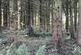 Additional image 16 of Coed Ffordd Pererin, Llanybri SA33