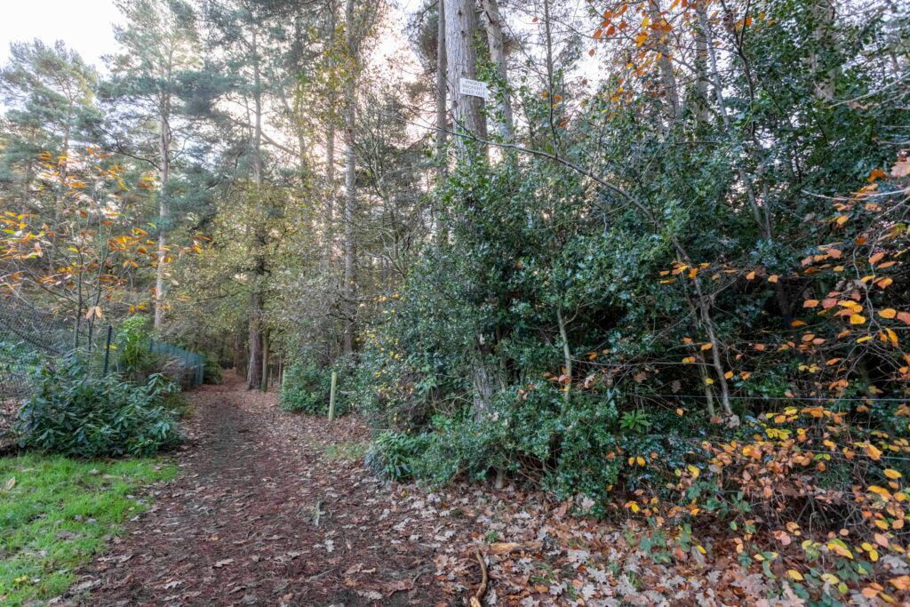 Land for salePlot 10 Potters Pool, Surrey GU16 photo 2