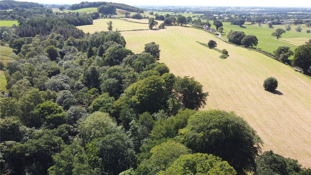 Additional image 5 of Land for saleQuarrybeck Wood, Brampton, Cumbria CA8