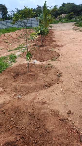Additional image 3 of Shadnagar, Hyderabad