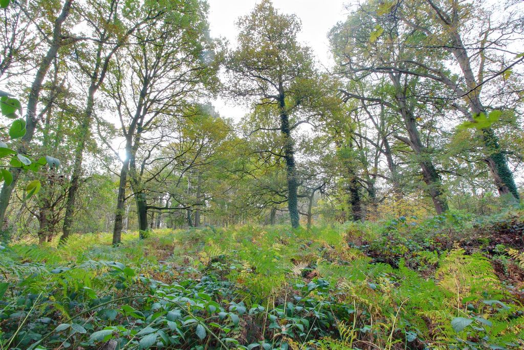 Additional image 2 of Land for saleRingshall Road, Ringshall, Berkhamsted HP4