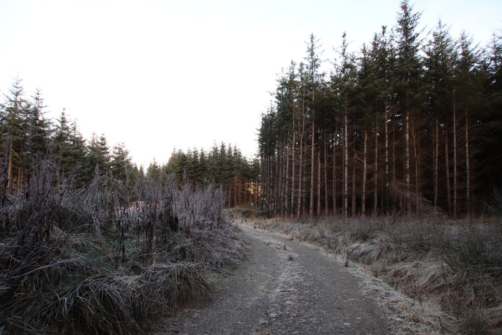 Additional image 3 of Land for saleGrange, Keith AB55