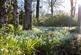 Additional image 13 of Tregassack Road, Ludgvan, Penzance, Cornwall, TR20