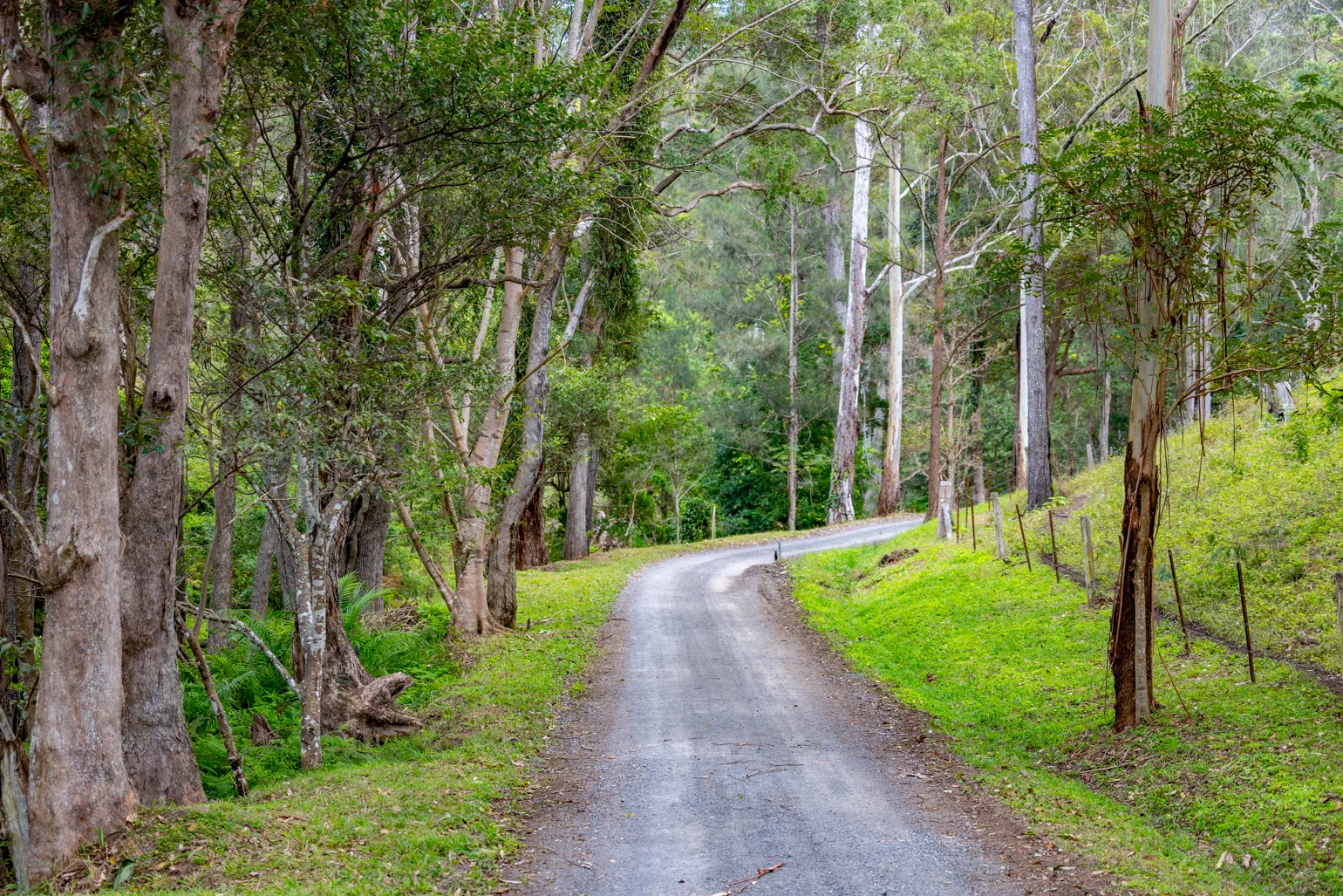 Additional image 24 of 196 Broken Bridge Road, Conondale QLD 4552