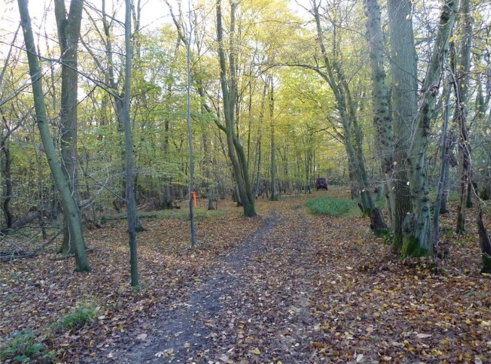 Land for saleCharlwood, Surrey RH6