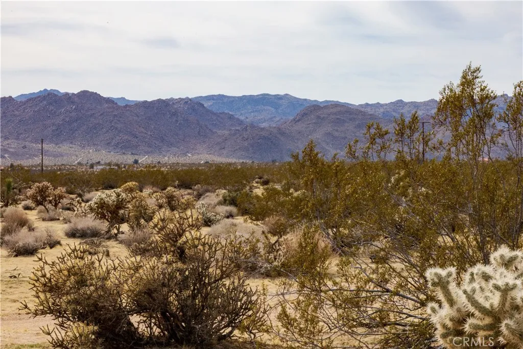 Additional image 2 of Appian Way, Joshua Tree, CA 92252