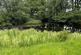 Additional image 34 of Cribyn, Ceredigion SA48