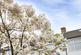 Additional image 16 of Croydon, London SE25