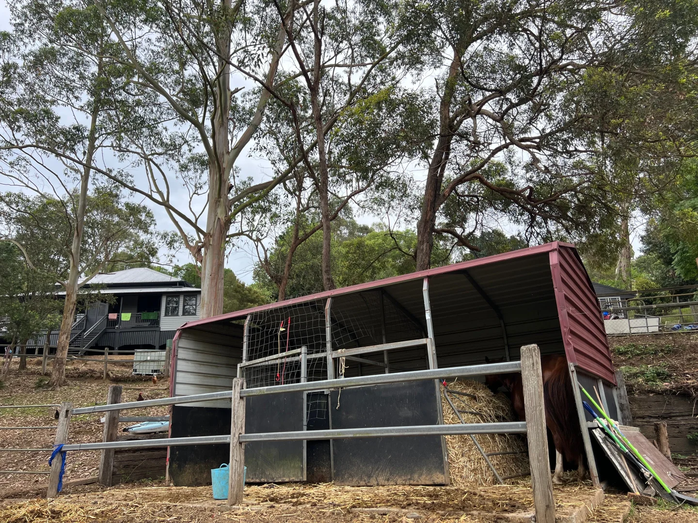 Additional image 32 of 9 Alpine Street, Draper QLD 4520