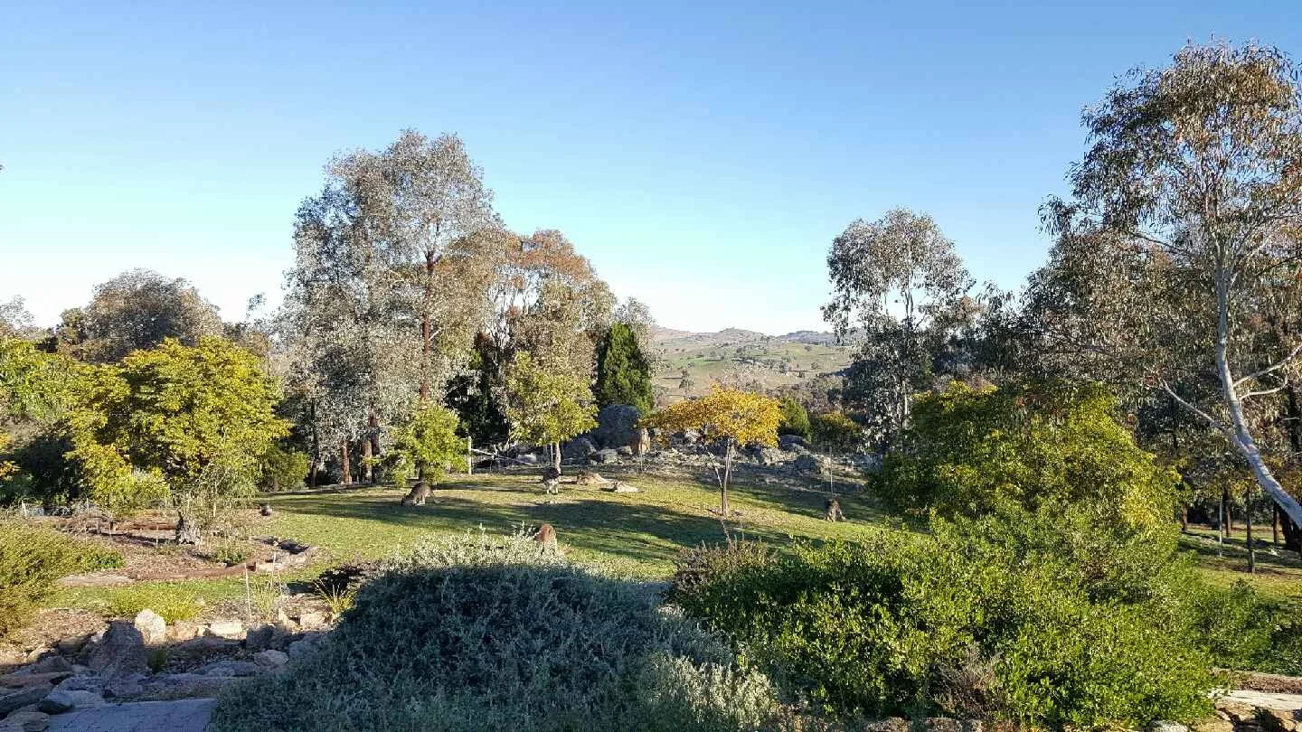 Additional image 11 of 130 Red Gum Lane, Frogmore NSW 2586