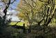 Additional image 2 of Coed Ffordd Pererin, Llanybri SA33