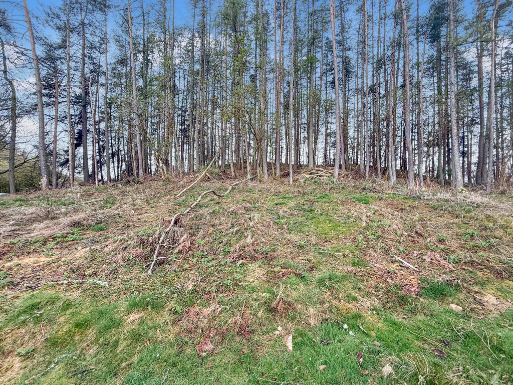 Additional image 5 of Land for saleLageonan Road, Grandtully, Aberfeldy PH15