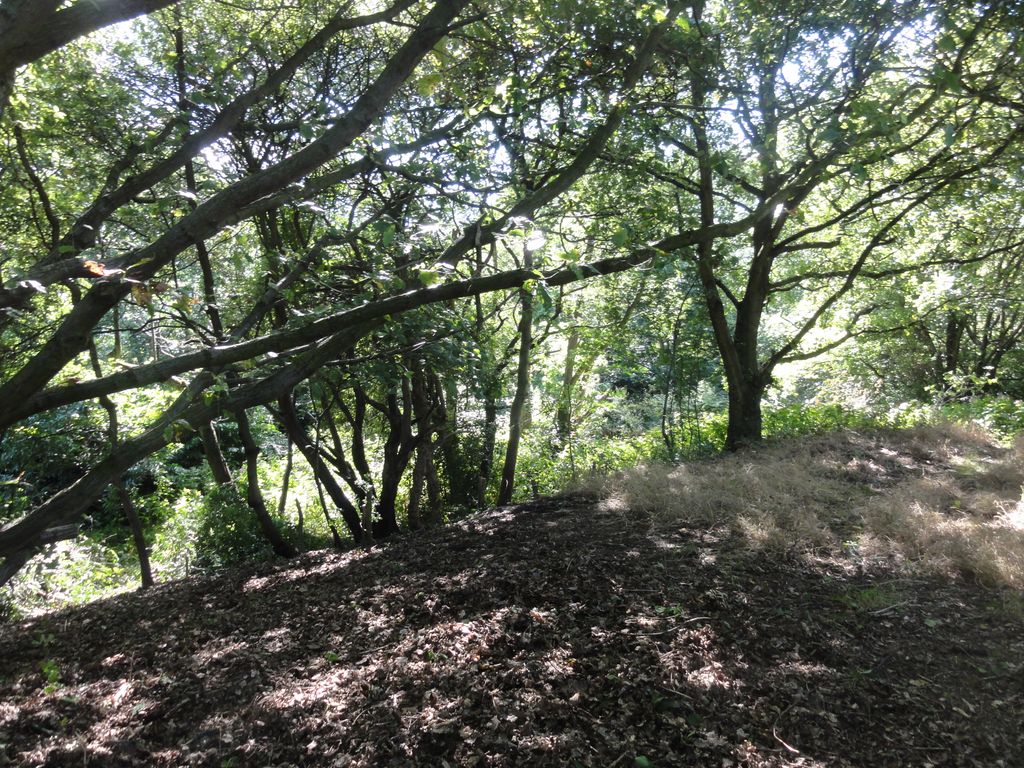 Additional image 10 of Land for saleWoodlands, Leeds LS16