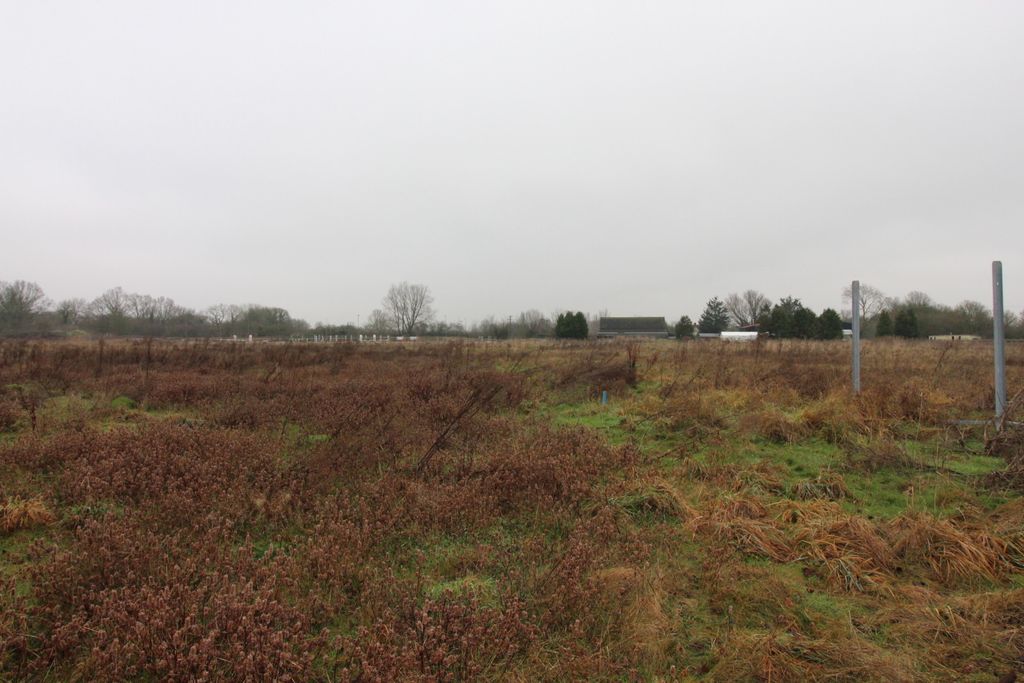 Land for saleHigh Roding, Dunmow CM6 photo 5