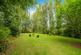 Additional image 3 of Bramble Drive, Sneyd Park, Bristol, BS9