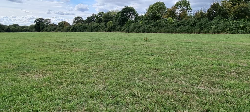 Additional image 14 of Land for saleNear Chalgrove, Thame OX9