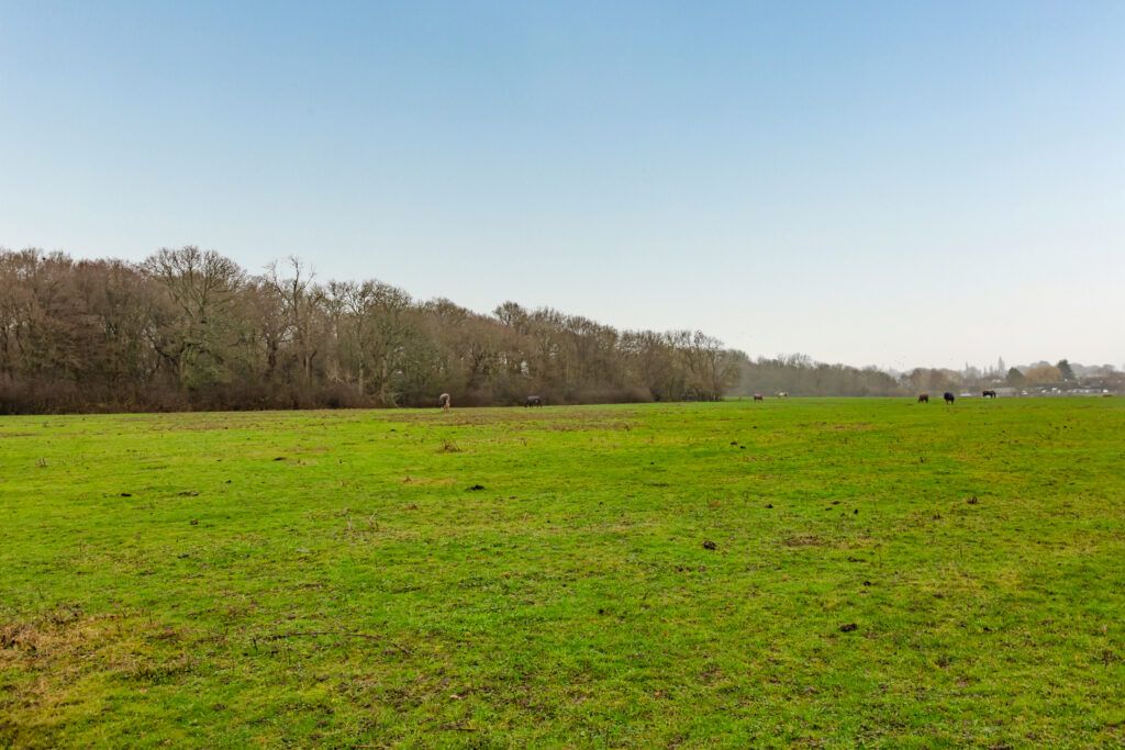 Additional image 5 of Land for salePlot 8, Off New Farm Drive, Romford RM4
