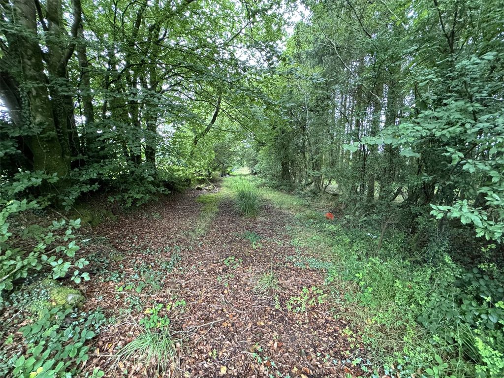 Additional image 9 of Land for saleBrandis Corner, Holsworthy EX22