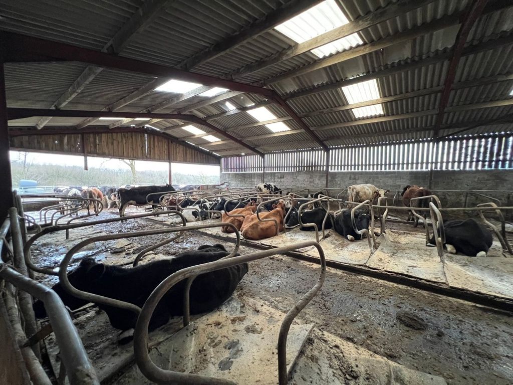 Additional image 29 of 4 bed farm for saleLlwyndafydd, New Quay SA44