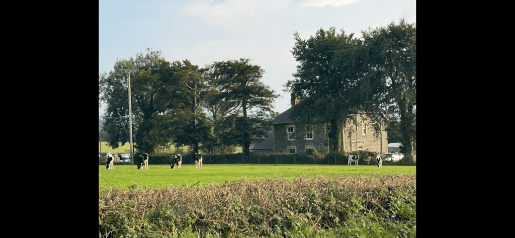 Additional image 28 of 4 bed farm for saleLlwyndafydd, New Quay SA44
