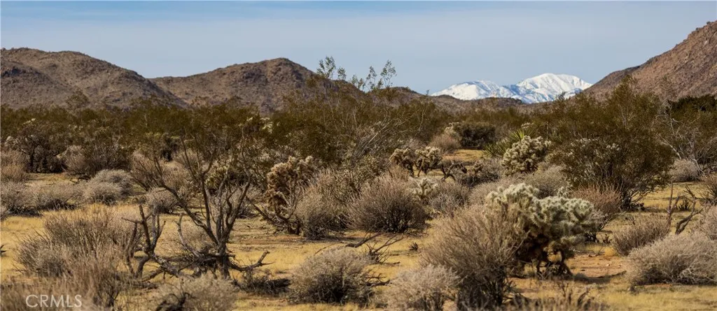 Additional image 41 of Appian Way, Joshua Tree, CA 92252
