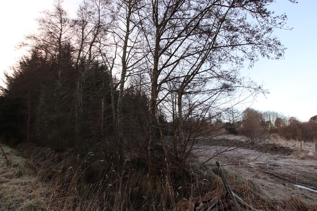 Additional image 3 of Land for saleGrange, Keith AB55