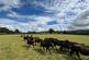 Additional image 3 of Llanwnnen, Lampeter , Ceredigion, SA48