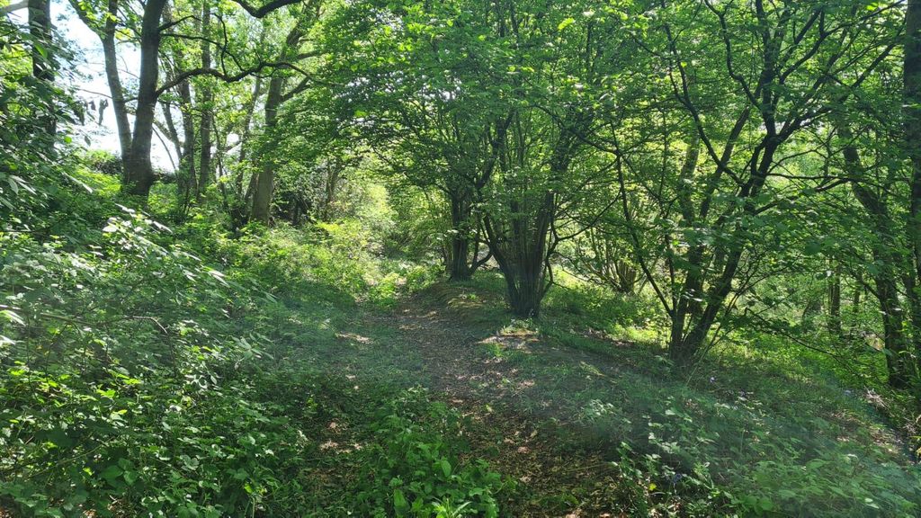 Additional image 8 of Land for saleFarley Heath, Albury, Guildford GU5