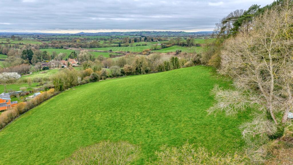 Additional image 21 of Bruton