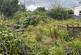 Additional image 4 of Gwilym Road, Cwmllynfell, Swansea.