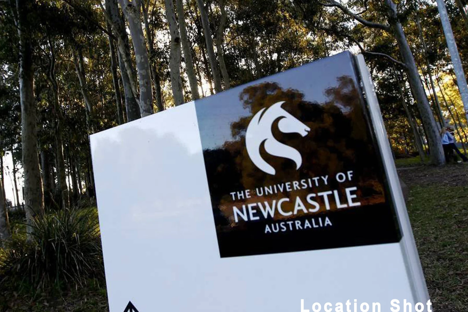Additional image 11 of 2/20 Spruce Street, North Lambton NSW 2299