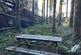 Additional image 11 of Coed Ffordd Pererin, Llanybri SA33