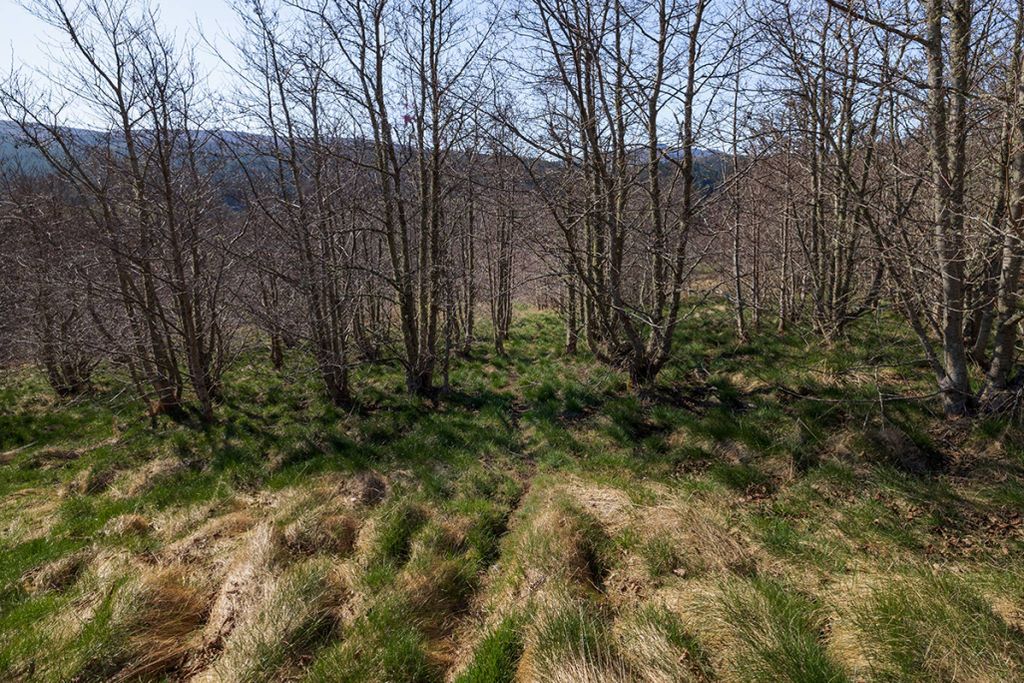 Additional image 9 of Land for sale95M West Of Eastwood, Balnain, Drumnadrochit IV63