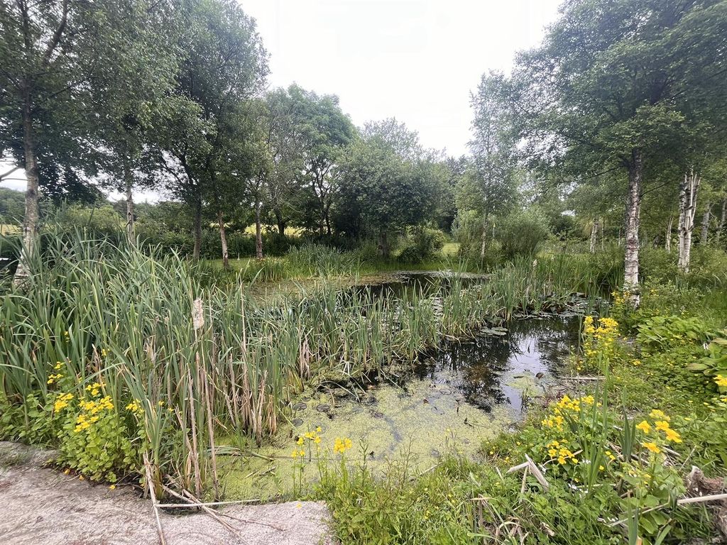 Additional image 36 of 4 bed farm for saleFelinfach, Lampeter SA48