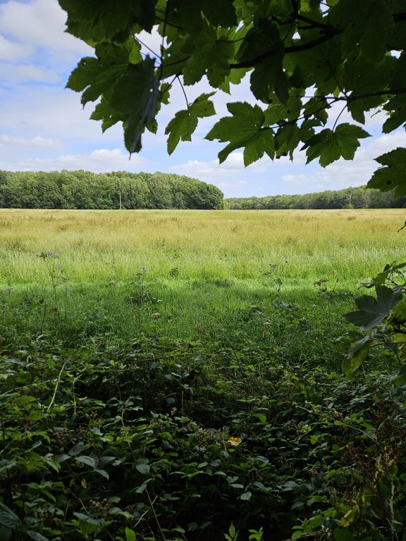 Additional image 7 of Land for saleCommon Road, Chatham ME5