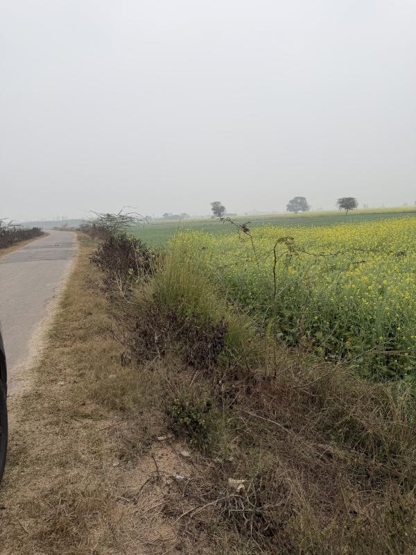 Additional image 3 of Naugaon, Alwar