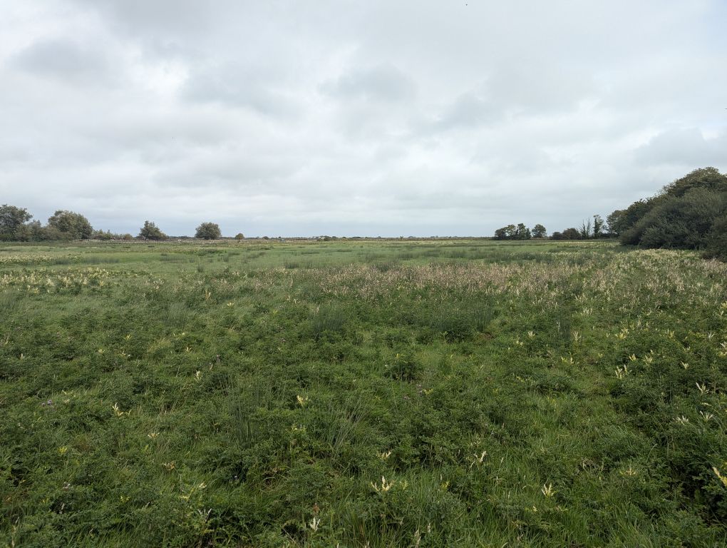 Land for saleSandwich Road, Hacklinge CT14 photo 3