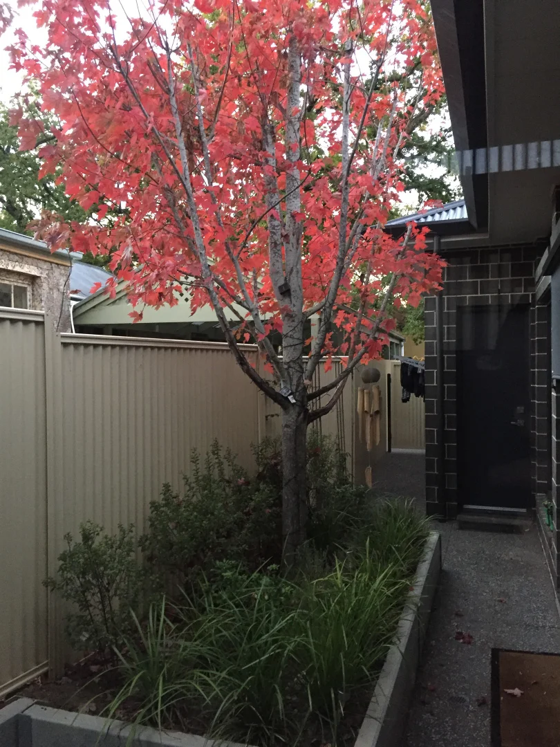 Additional image 9 of 5B Druids Avenue, Mount Barker SA 5251