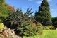 Additional image 10 of Ynyscedwyn Road, Swansea SA9