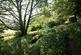 Additional image 65 of Earl Sterndale, Buxton