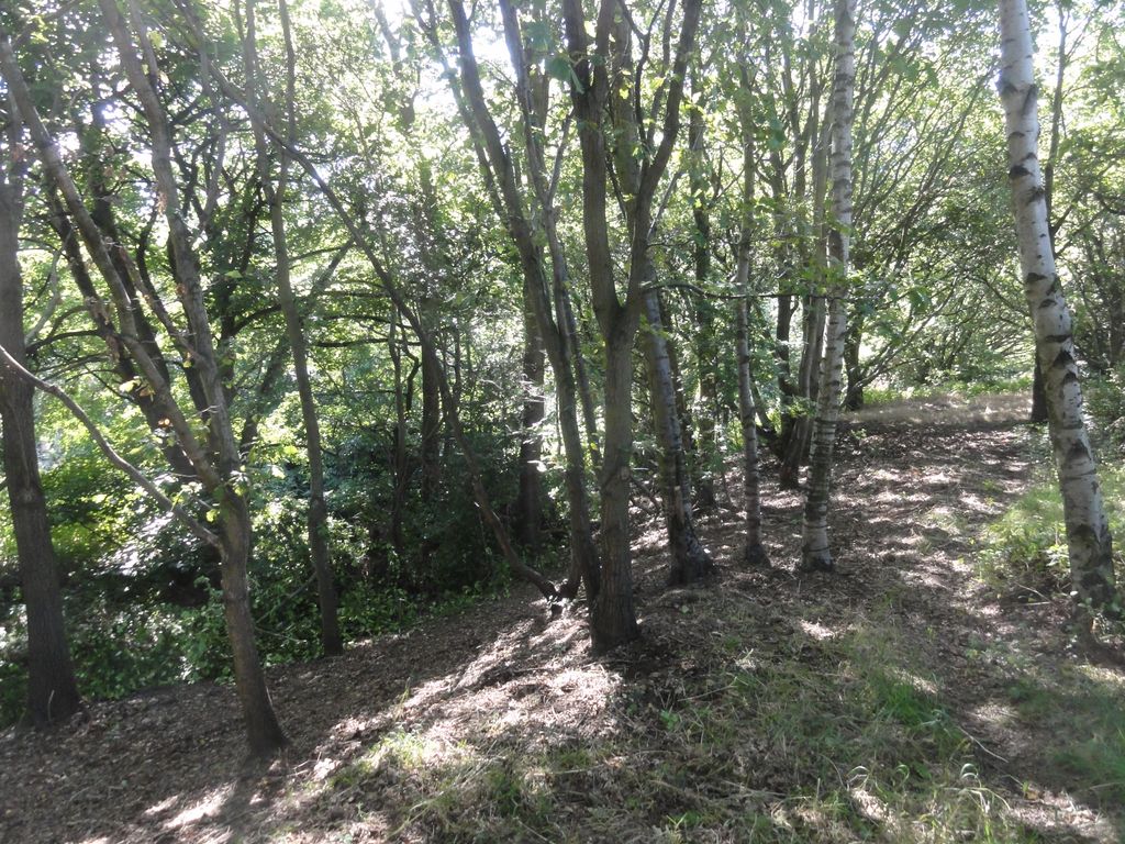 Additional image 13 of Land for saleWoodlands, Leeds LS16