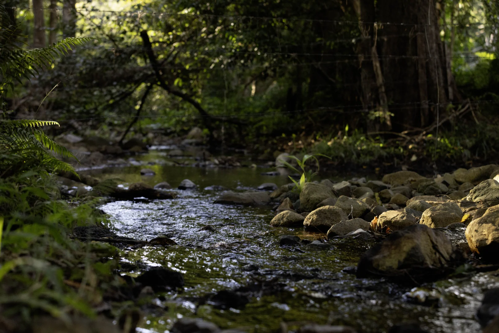 Additional image 37 of 196 Broken Bridge Road, Conondale QLD 4552