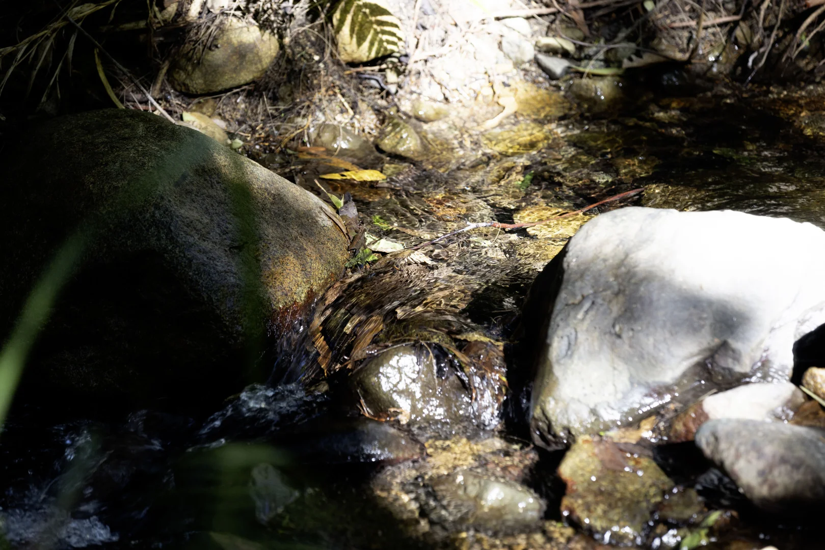 Additional image 39 of 196 Broken Bridge Road, Conondale QLD 4552