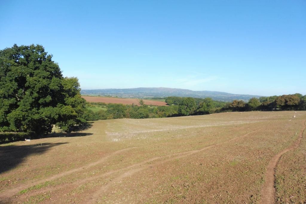 Land for saleHanley William, Tenbury Wells WR15