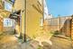 Additional image 5 of Hardy Road, London SW19
